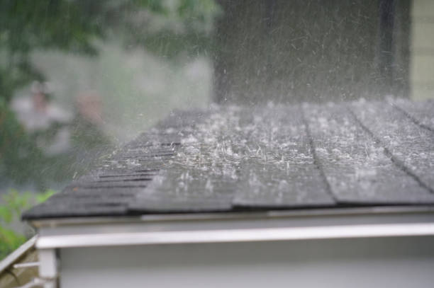 Best Roof Maintenance and Cleaning  in Tipton, MO